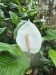 IMG-20250228-WA0019