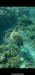 IMG-20250301-WA0004