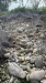 IMG-20250306-WA0002