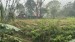 IMG-20250306-WA0003