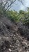 IMG-20250306-WA0004