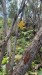 IMG-20250306-WA0005