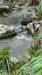 IMG-20250306-WA0008