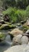 IMG-20250306-WA0009