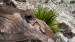 IMG-20250306-WA0010
