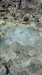 IMG-20250306-WA0012