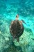 IMG-20250307-WA0009