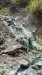 IMG-20250308-WA0013