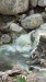 IMG-20250308-WA0016