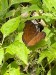 IMG-20250308-WA0021
