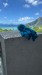 IMG-20250310-WA0003