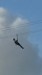 IMG-20250310-WA0007