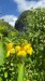 IMG-20250311-WA0003