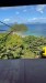 IMG-20250311-WA0004
