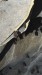 IMG-20250311-WA0006