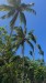 IMG-20250311-WA0008