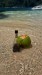 IMG-20250313-WA0002