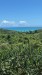 IMG-20250313-WA0015