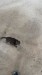 IMG-20250314-WA0003