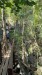 IMG-20250314-WA0011