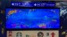 IMG-20250315-WA0001