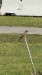 IMG-20250712-WA0018