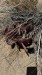 IMG-20250713-WA0009