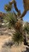 IMG-20250713-WA0013