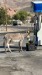 IMG-20250716-WA0017