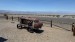 IMG-20250717-WA0006