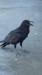 IMG-20250717-WA0008