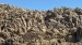 IMG-20250717-WA0018 1