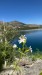 IMG-20250718-WA0003