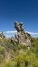 IMG-20250718-WA0013