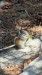 IMG-20250719-WA0006