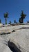 IMG-20250719-WA0009
