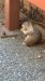 IMG-20250719-WA0015
