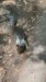IMG-20250720-WA0001