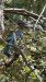 IMG-20250720-WA0005
