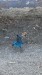 IMG-20250721-WA0017