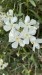 IMG-20250722-WA0019