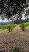 IMG-20250723-WA0003