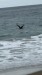 IMG-20250723-WA0011