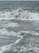 IMG-20250723-WA0018