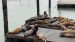 IMG-20250725-WA0001