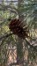 IMG-20250727-WA0013