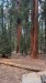 IMG-20250727-WA0020