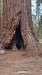 IMG-20250727-WA0021