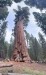 IMG-20250727-WA0024
