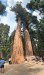 IMG-20250727-WA0026